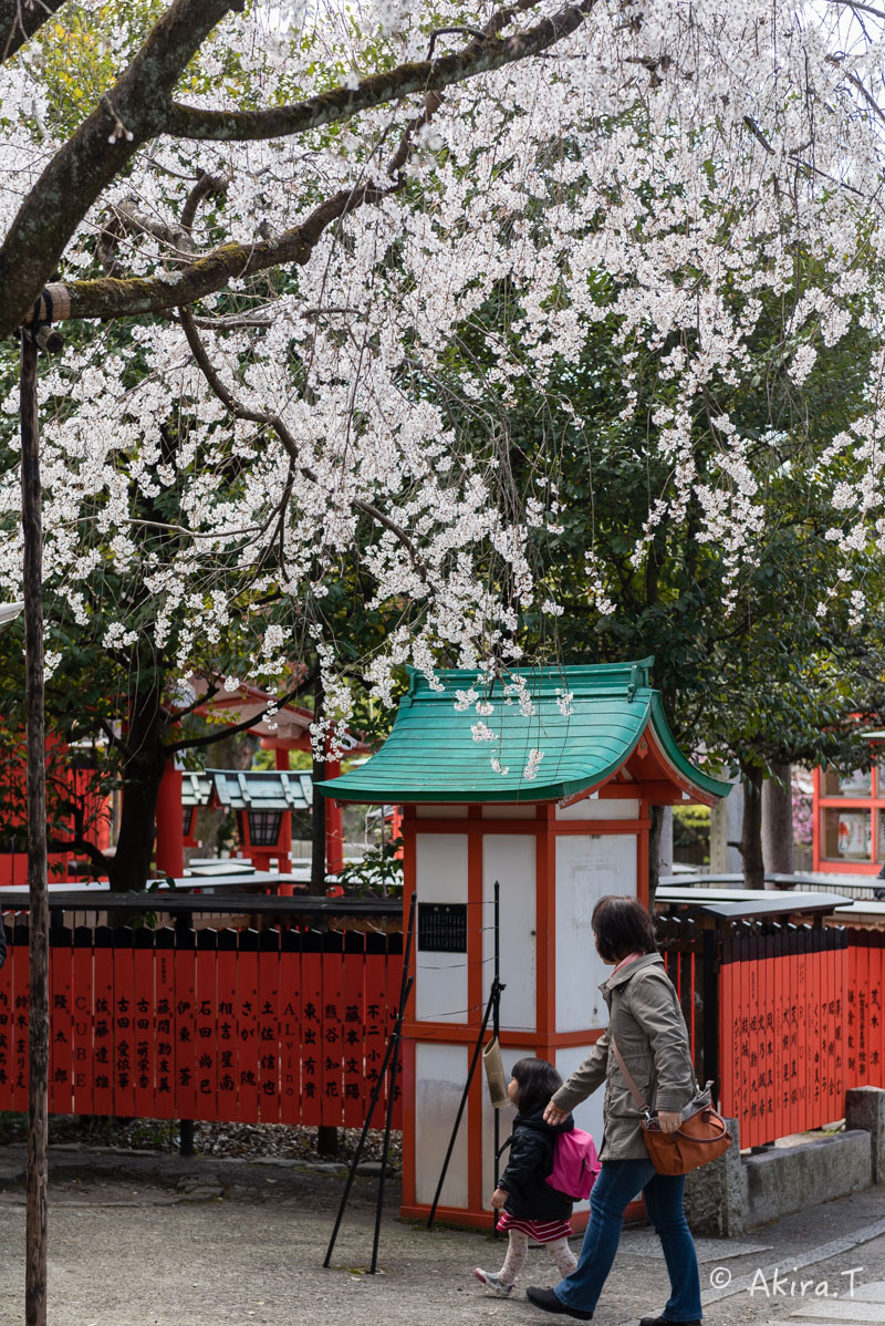 京都の桜 2016 〜車折神社〜_f0152550_21293672.jpg