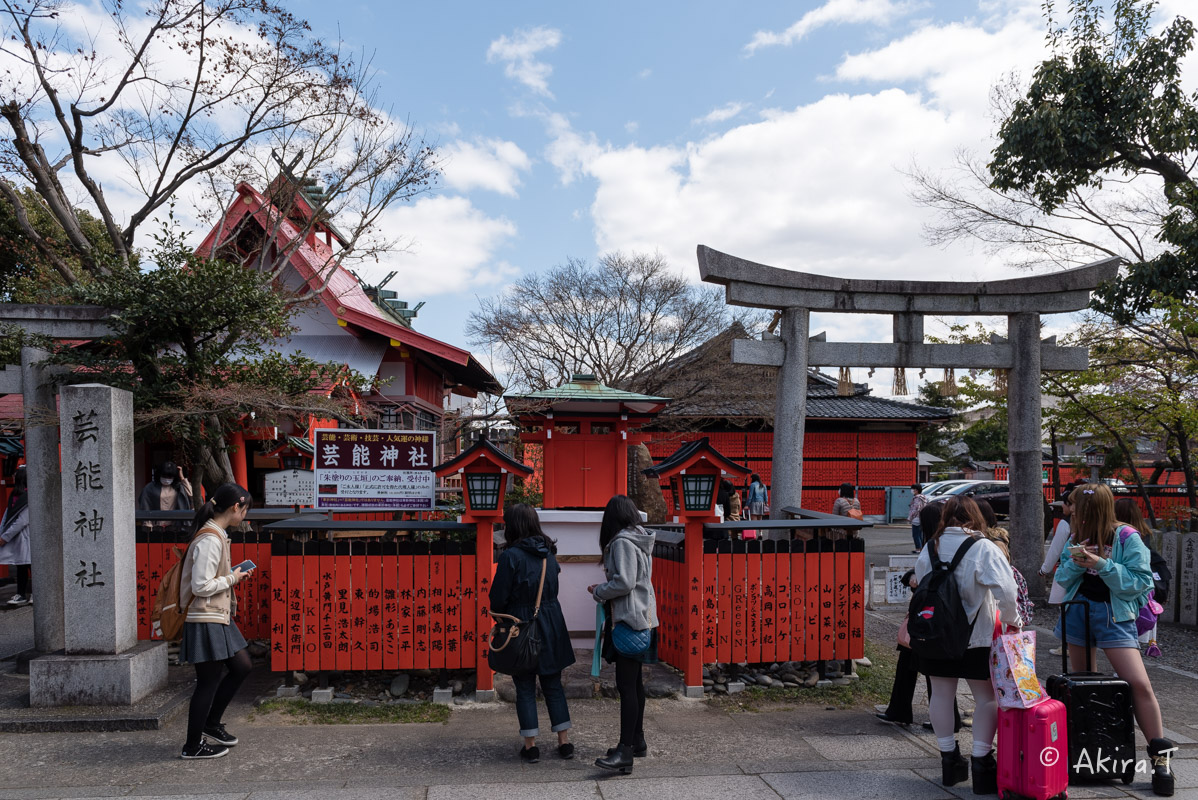 京都の桜 2016 〜車折神社〜_f0152550_2131229.jpg
