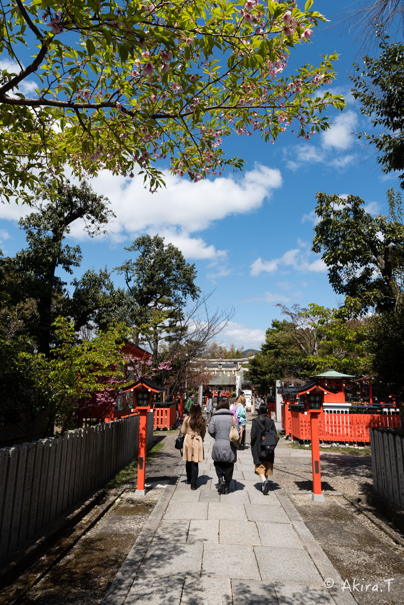 京都の桜 2016 〜車折神社〜_f0152550_21314448.jpg