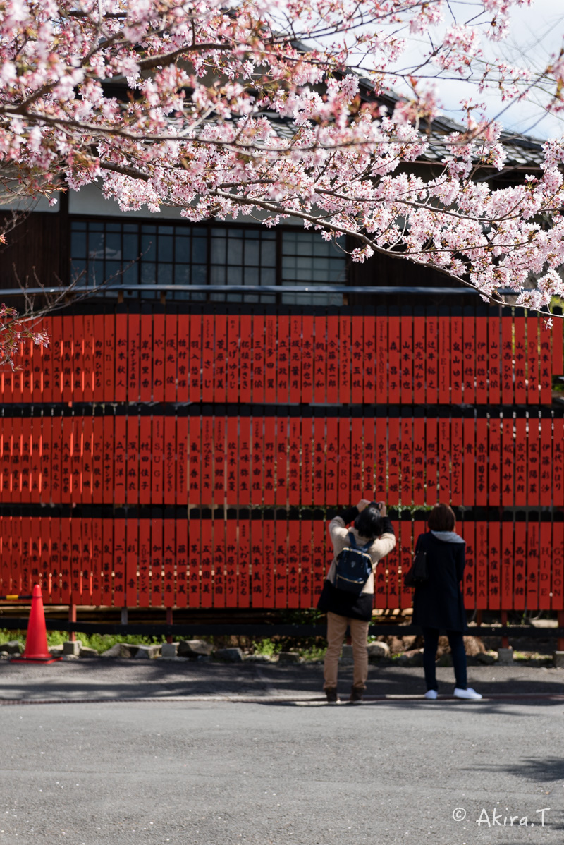 京都の桜 2016 〜車折神社〜_f0152550_21315866.jpg