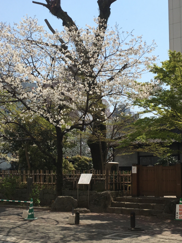 e0343253_21075566.jpg