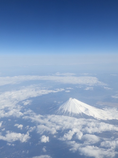 屋久島ただいま！_b0160957_174155.jpg