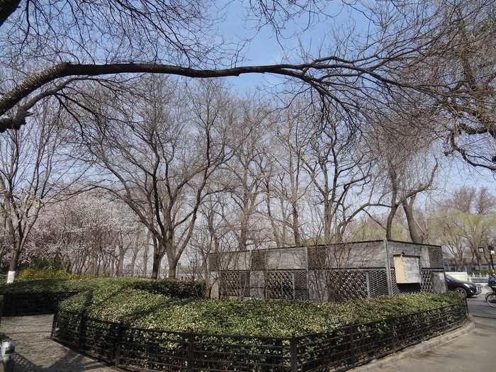 f0036857_20474225.jpg