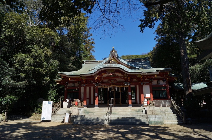 越木岩神社の甑岩と椿_b0063958_20194978.jpg