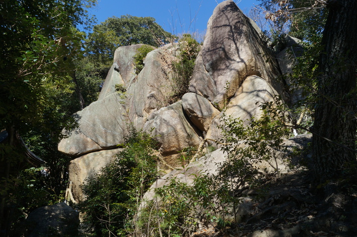越木岩神社の甑岩と椿_b0063958_20211010.jpg