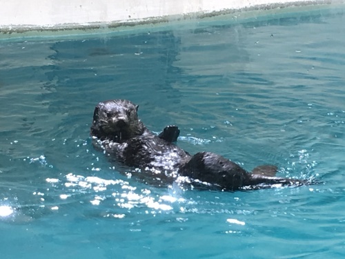 d0338161_22451942.jpeg