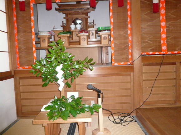 f0213562_6502962.jpg