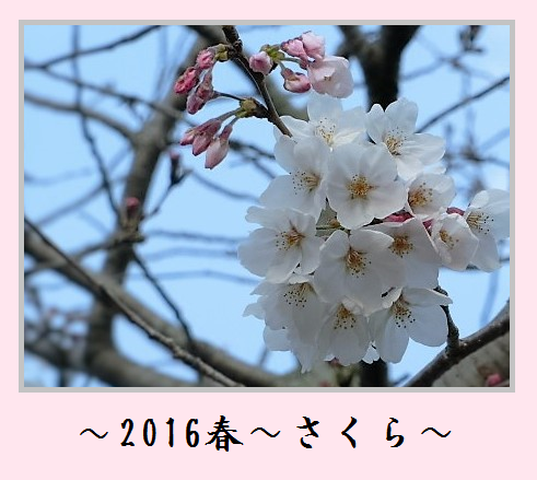 d0255763_20342892.png