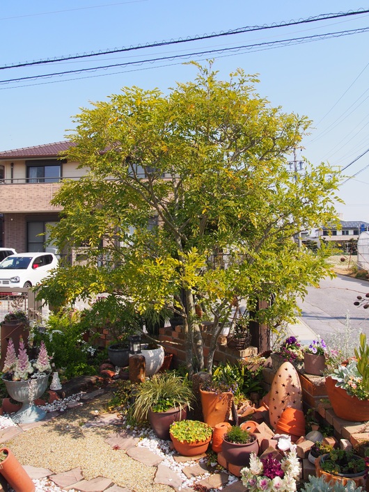 b0194267_16106.jpg