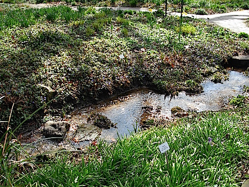 e0357367_1342353.jpg