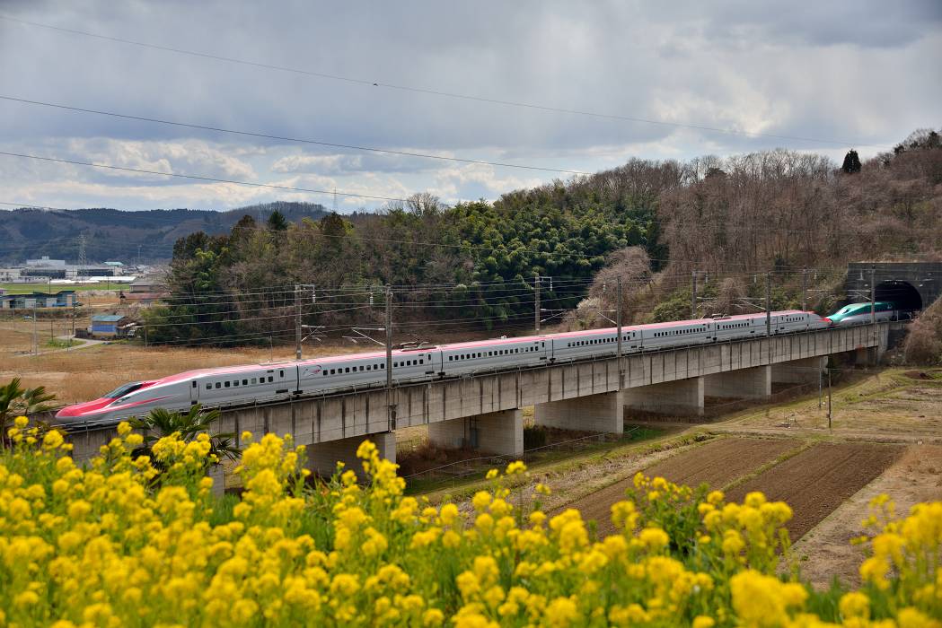 b0223668_8272320.jpg