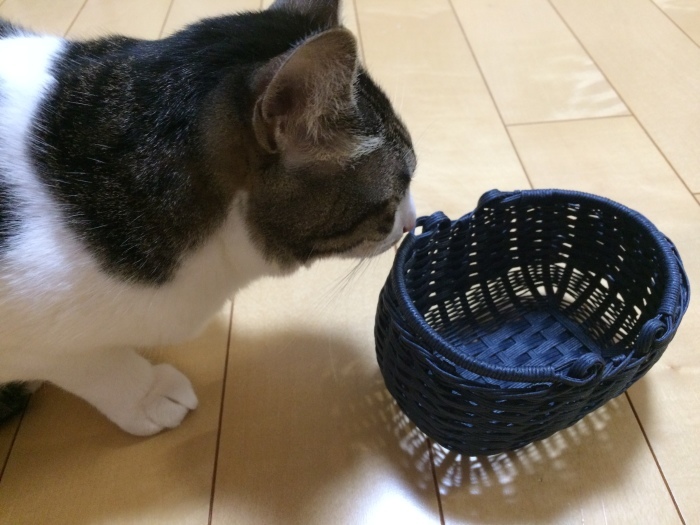 a0119470_22365251.jpeg