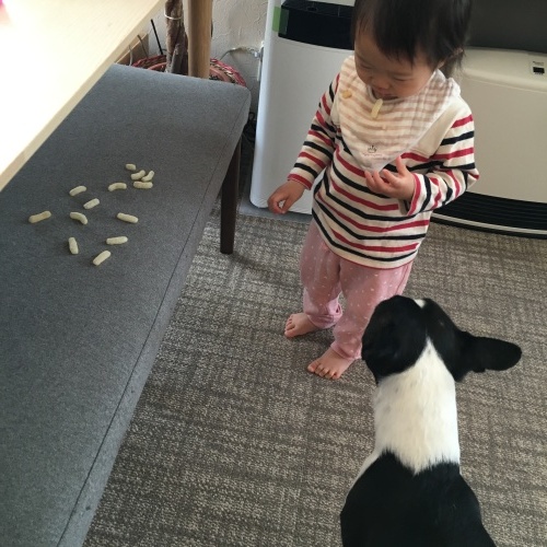 d0041575_22465188.jpeg