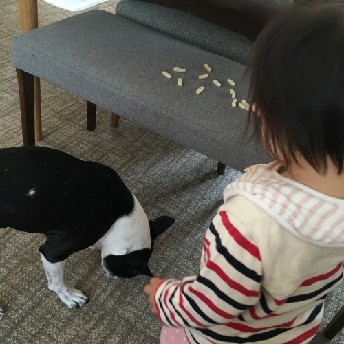 d0041575_22470944.jpeg