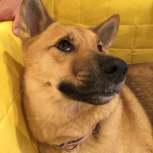 c0364176_07400484.jpeg