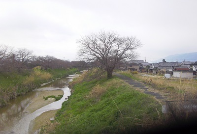 二十八日　その一　　いよいよ「忠君愛国」の出番となりました。_c0243877_10324371.jpg