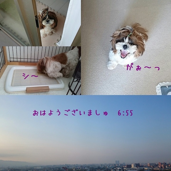 c0363378_15512368.jpg