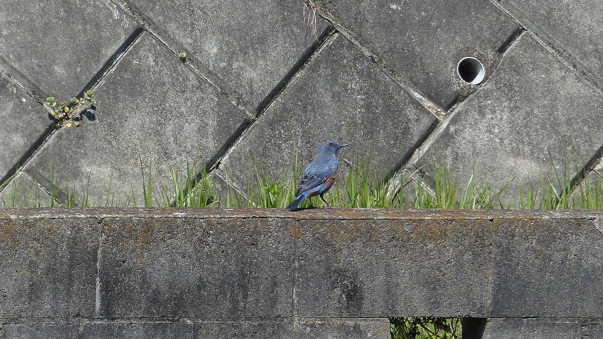 a0185081_14324266.jpg