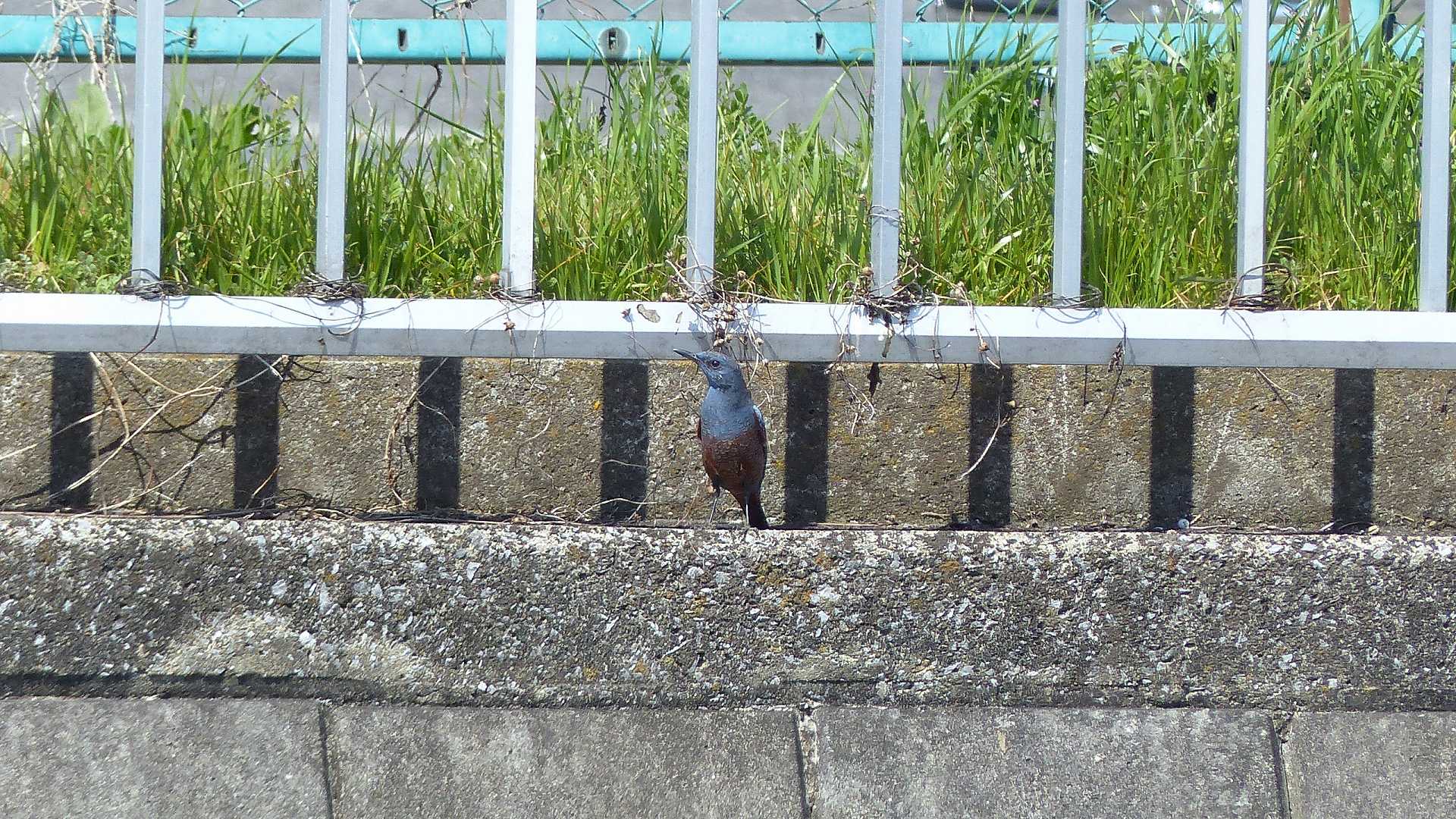 a0185081_1433134.jpg