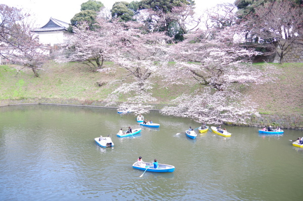 ひと足お先にお花見_c0324382_20090438.jpg