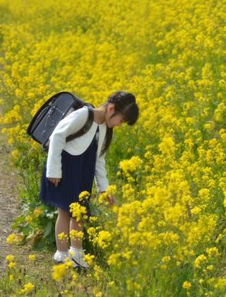 お姉ちゃんの時は満開の桜のしたで撮影でしたが....._b0194185_22594298.jpg