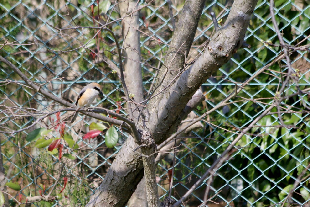 a0127090_2159135.jpg