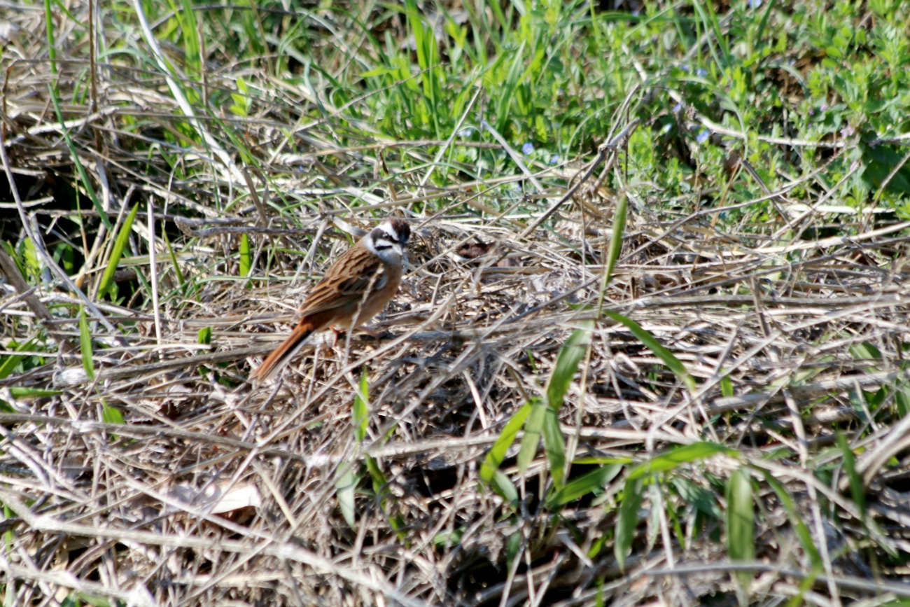 a0127090_220442.jpg
