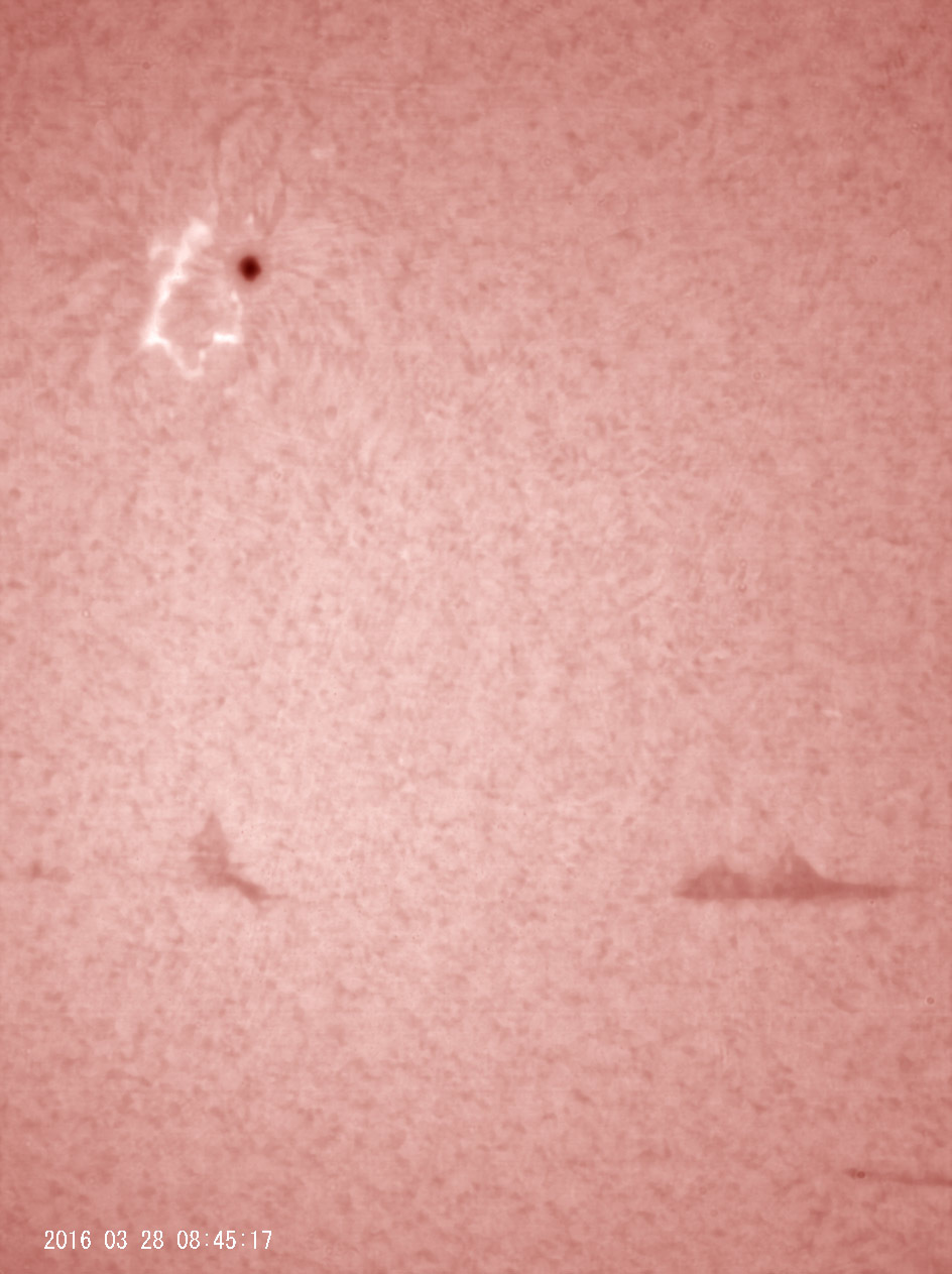 3月28日の太陽_e0174091_18354358.jpg