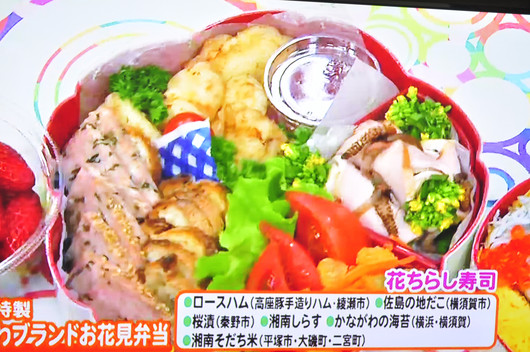 JCOM生放送と息子の野球_b0171098_10483762.jpg