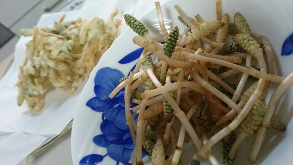 春の食材_a0115906_15522944.jpg