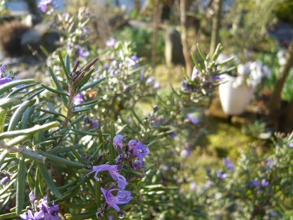 c0112206_21551372.jpg
