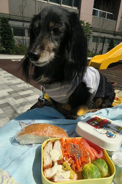 ちょっぴり寂しいお鼻見ランチ_d0115106_1465536.jpg