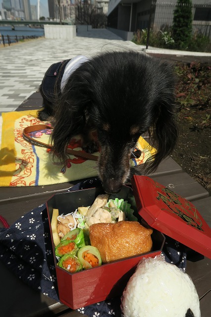 ちょっぴり寂しいお鼻見ランチ_d0115106_147767.jpg