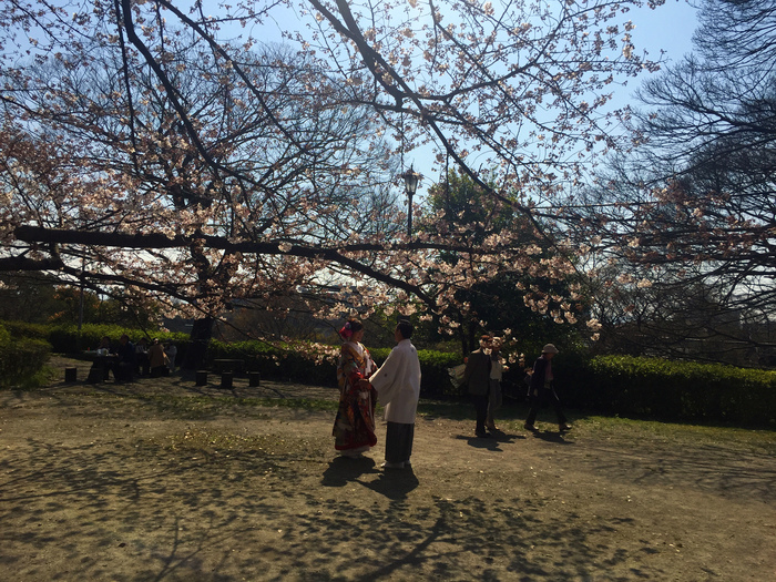 春期休業のお知らせ_d0116009_10395914.jpg