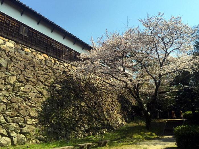 春期休業のお知らせ_d0116009_1040358.jpg