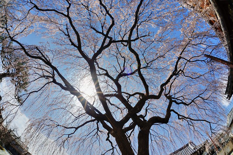 f0032011_20023.jpg