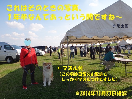 f0121712_11554837.jpg