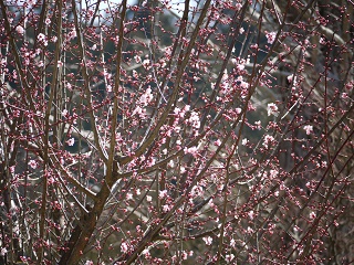 f0236012_11273215.jpg