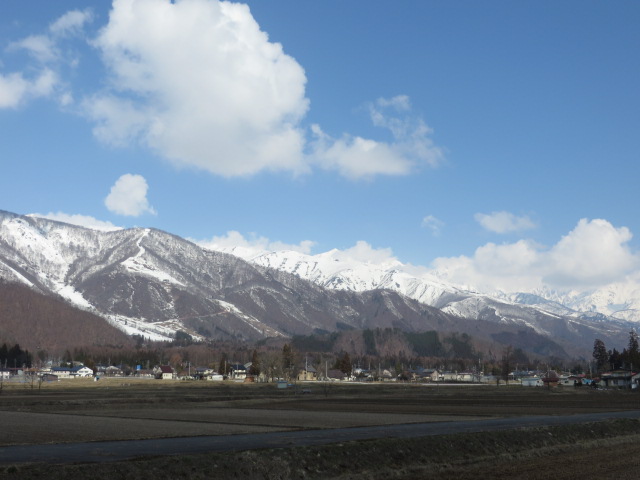 d0351213_6323374.jpg