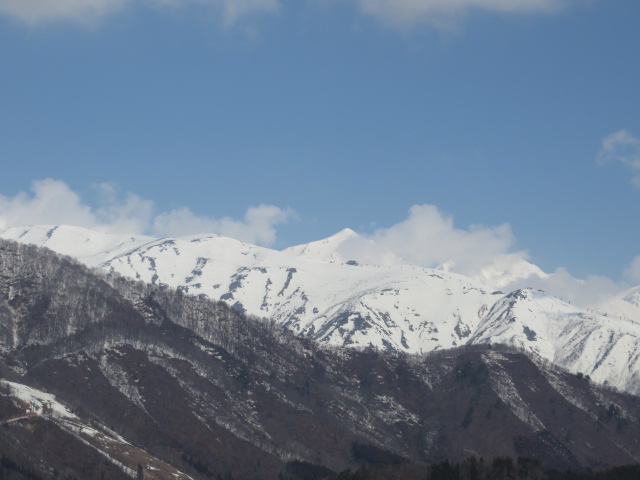 d0351213_6324865.jpg