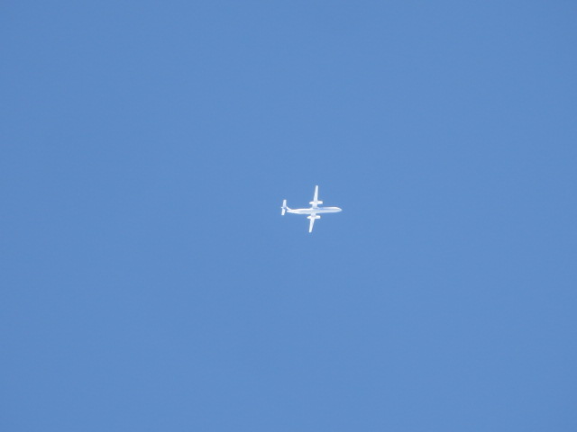 d0351213_6343428.jpg