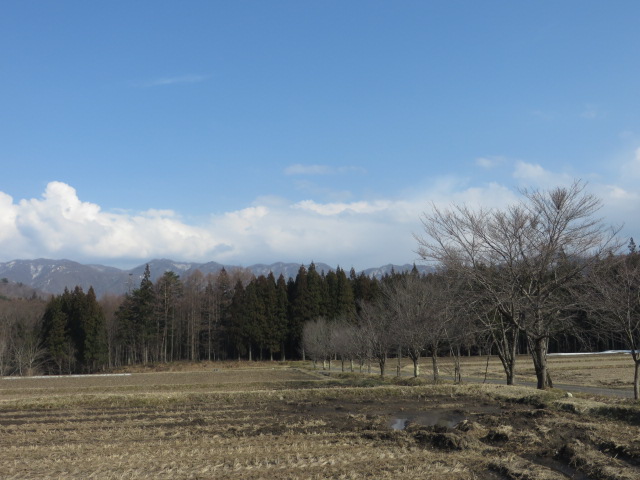 d0351213_6371398.jpg