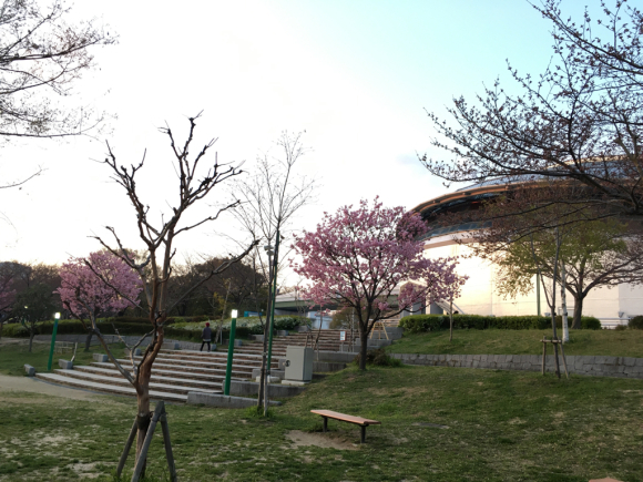 a0098418_11105245.jpg