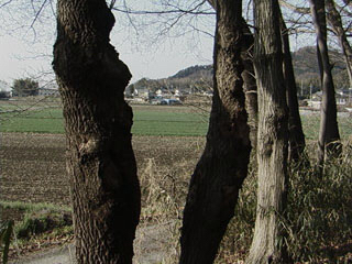 c0346119_05062423.jpg