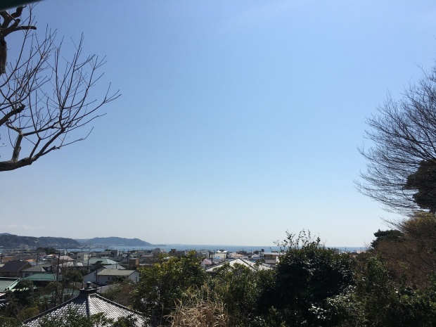 e0172219_22260853.jpeg