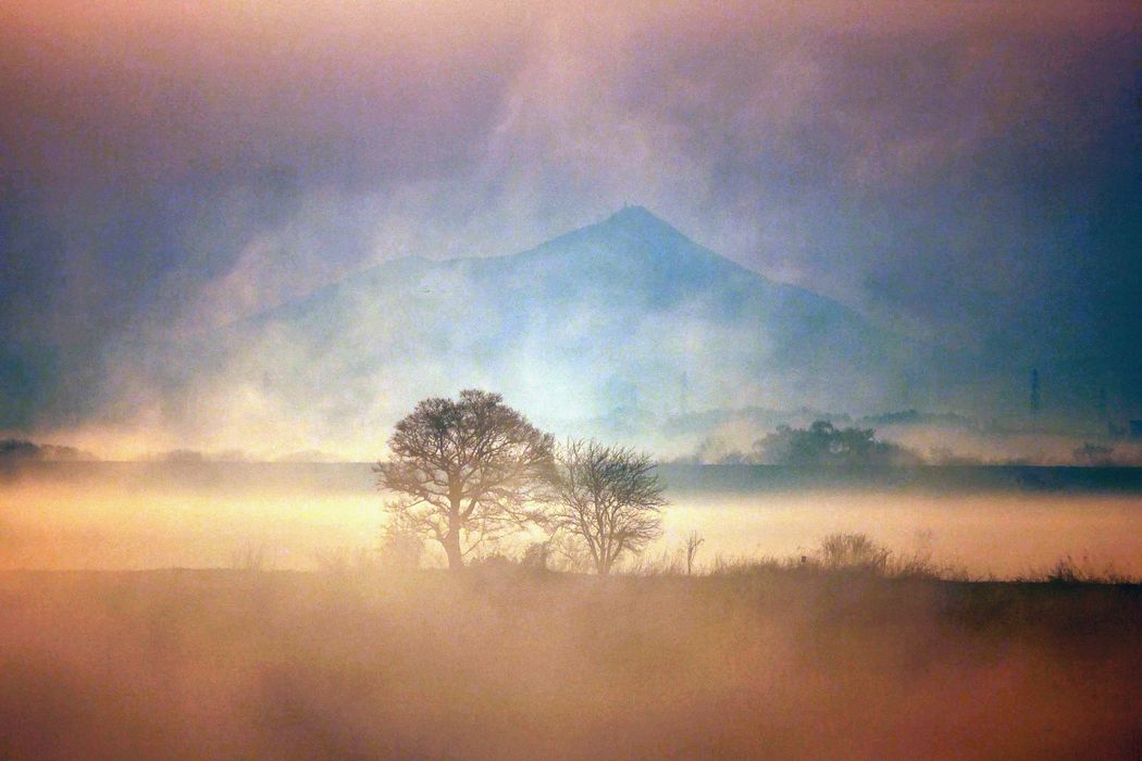 霧と筑波山と日の出を・・・渡良瀬遊水池に行ってみたけど(^-^;_a0031821_17491282.jpg