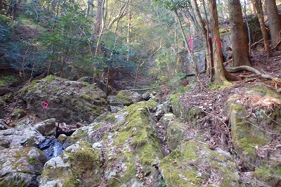 f0193521_122181.jpg