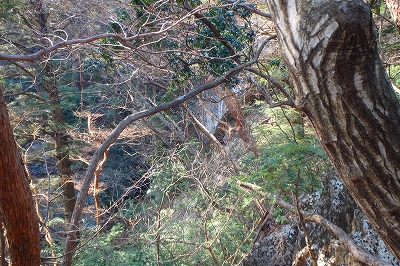 f0193521_1226573.jpg