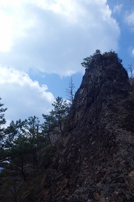 f0193521_13364418.jpg