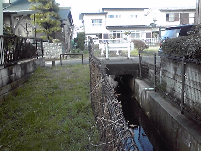 金杉台地の谷(3)　生きている廃川_d0247424_20455820.jpg